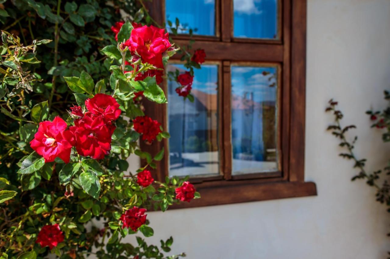 Woodland Resort Kragujevac Dış mekan fotoğraf